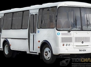 Пассажирские перевозки автобусом ПАЗ (ПАЗ-4234)